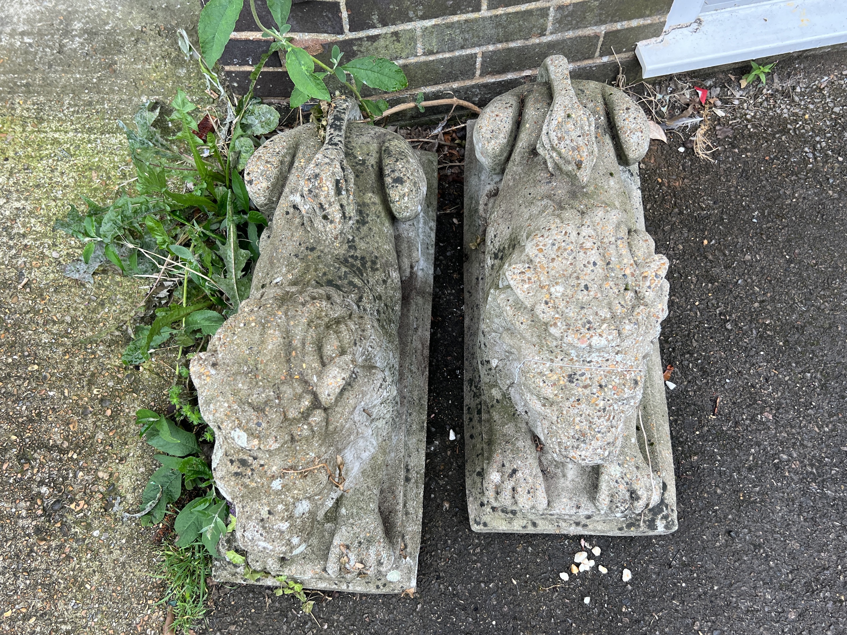 A pair of reconstituted stone recumbent lion garden ornaments, length 74cm, width 30cm, height 52cm